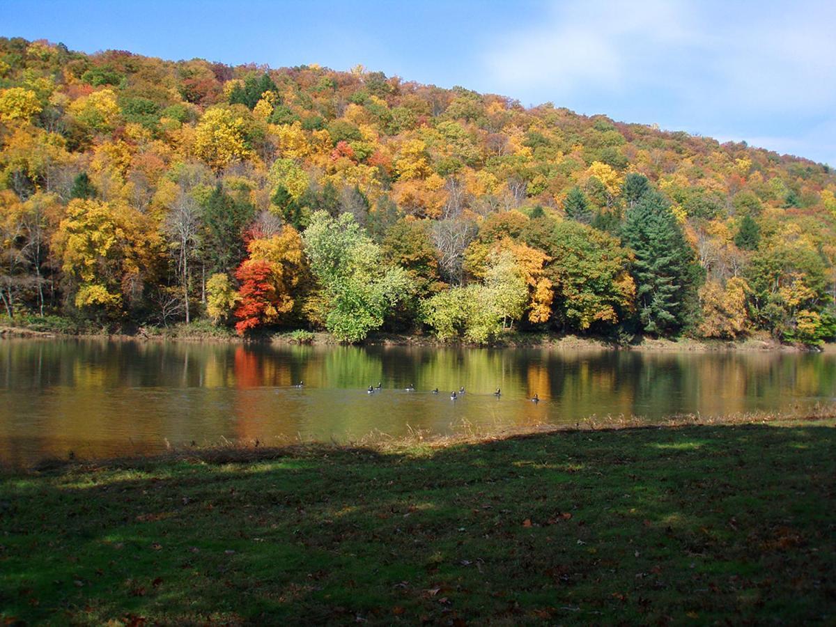 Spacious Home With Deck, Grill And Delaware River View Callicoon Dış mekan fotoğraf